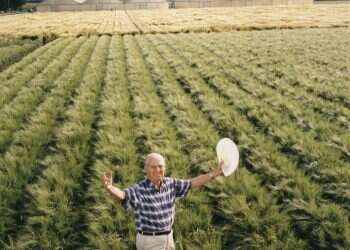 צילום: גטי אימג'ס