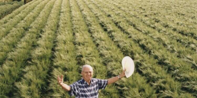 נורמן בורלוג. צילום: גטי אימג'ס צילום: גטי אימג'ס