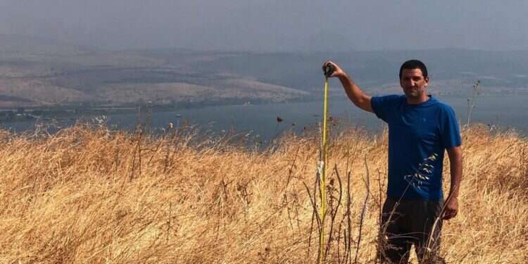 צילום: רשות הכנרת