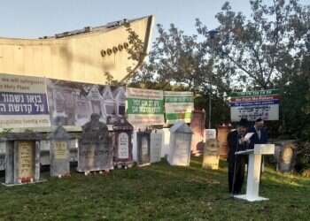 צילום: ריקי רט