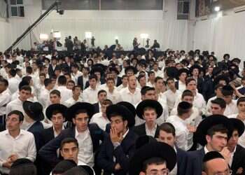 צילום: נועם אמיר