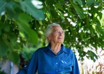 צילום: אנצ'ו ג'וש - ג'יני