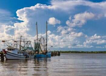 צילום: שאטרסטוק