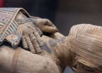 על גופתם המתה: התחביב המקברי של רודני כל העולם