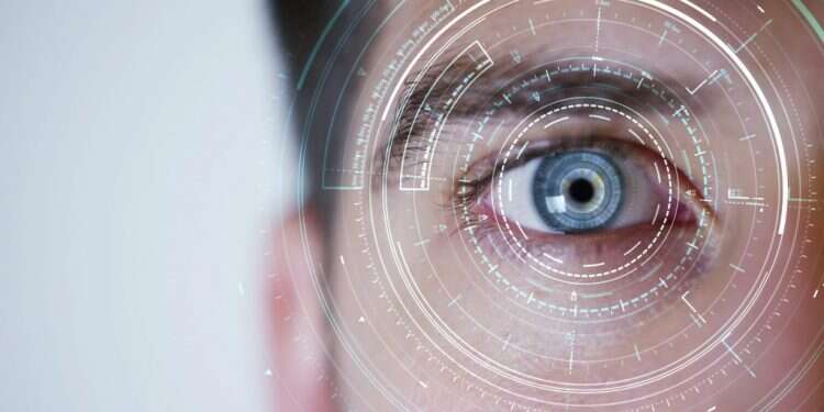 צילום: שאטרסטוק צילום: שאטרסטוק