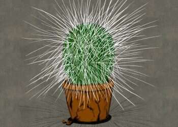 איור: שרון ארדיטי