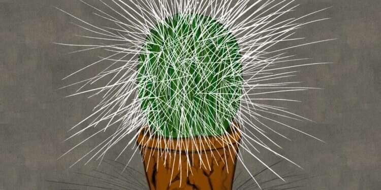 איור: שרון ארדיטי