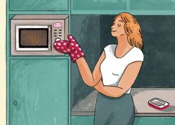 איור: נועה קלנר