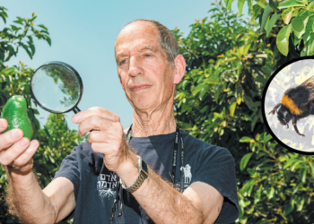 צילומים: אייל מרגולין - ג'יני, שאטרסטוק