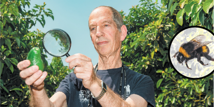 צילומים: אייל מרגולין - ג'יני, שאטרסטוק