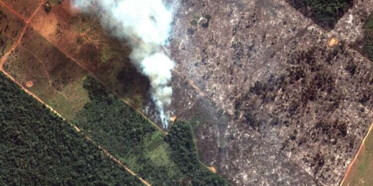 צילום לווייני של השריפות באמזונס. צילום: EPA צילום: EPA