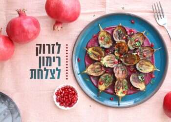 צילום: אפרת ליכטנשטט