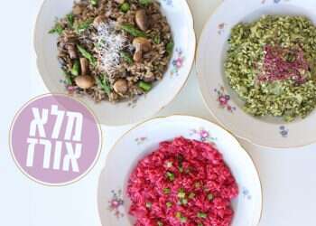 צילום: אפרת ליכטנשטט