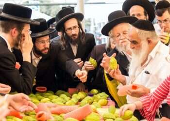 צילום: שאטרסטוק