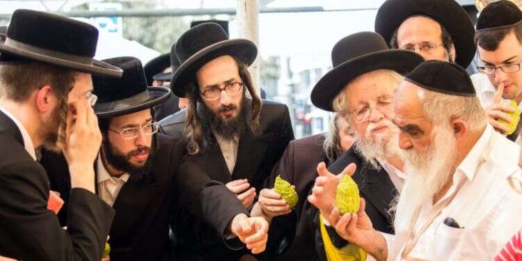 צילום: שאטרסטוק