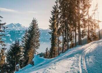 ספורט חורף: המדריך המלא למתחילים