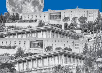 צילומים: שאטרסטוק