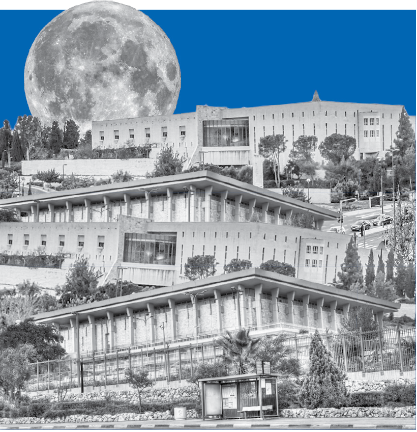 צילומים: שאטרסטוק