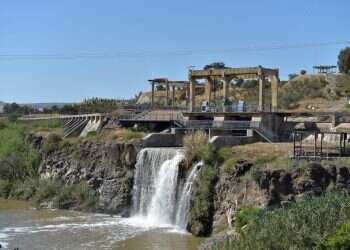 צילום: גיל אליהו, ג'יני