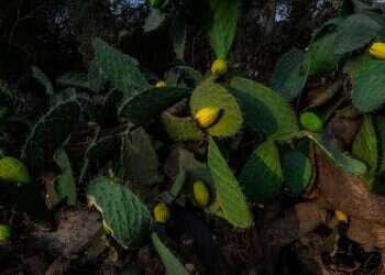 לחיות את הרגע