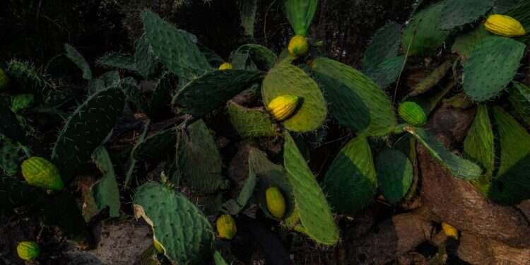 לחיות את הרגע