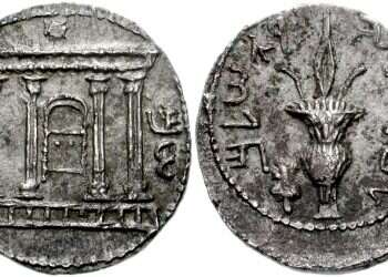 אתרוגר נולד: ההיסטוריה הבלתי מוכרת של הפרי החגיגי