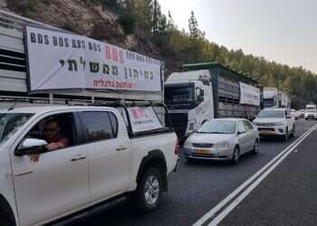 צילום: אורן קמה