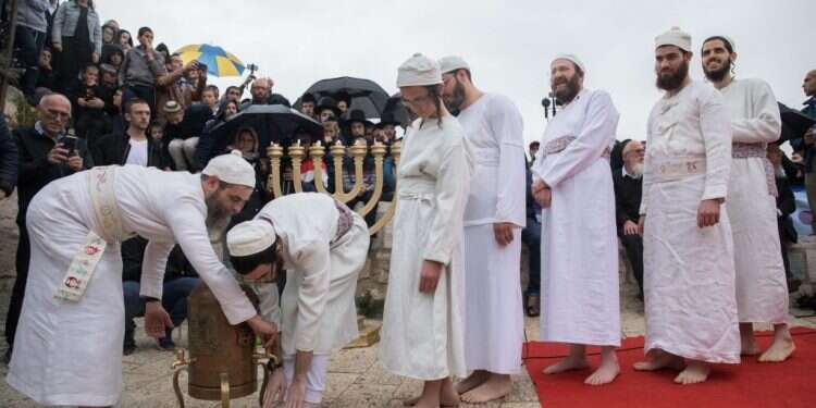 צילום: נועם רבקין פנטון, פלאש 90 צילום: נועם רבקין פנטון, פלאש 90