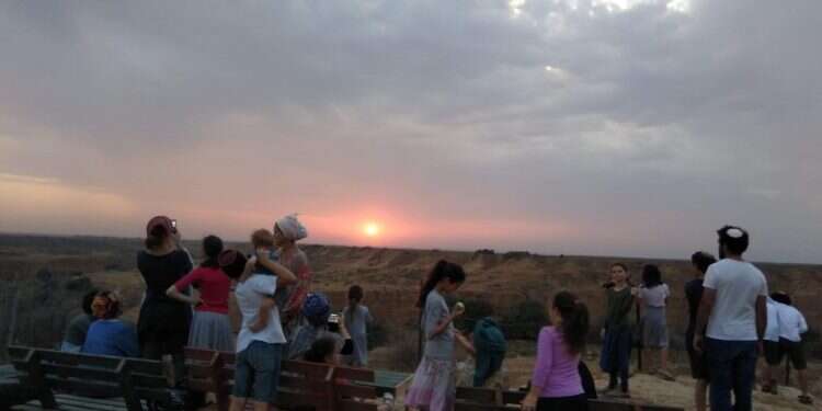 גרעין שובה. צילום: איילה שקלאר צילום: איילה שקלאר