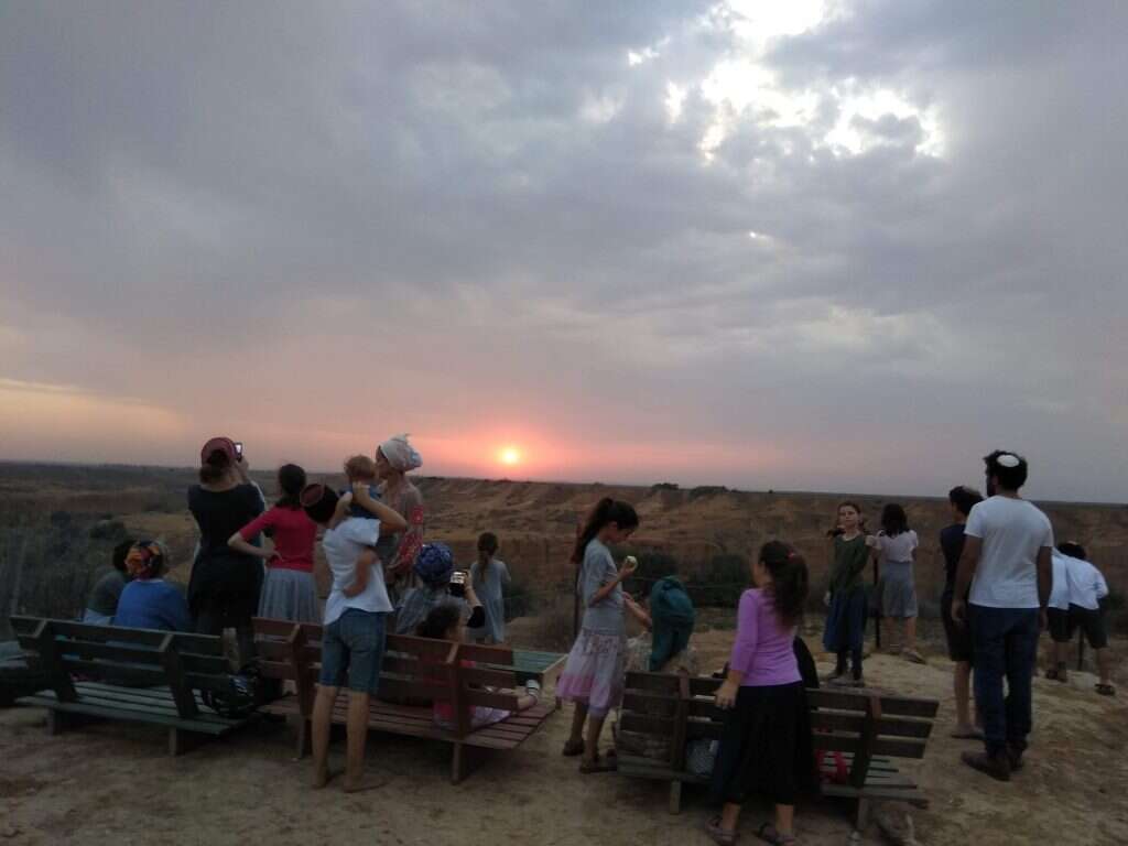 צילום: איילה שקלאר