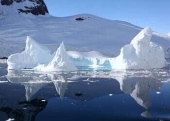 "גם במסע שלי לאוורסט הנחתי תפילין ליהודים"