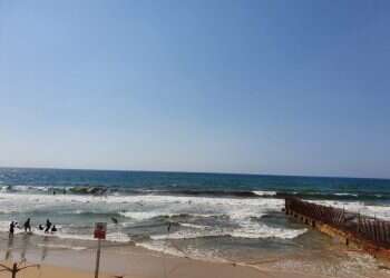 מסכמים עונה: שיא במספר אירועי זיהום בחופי ישראל