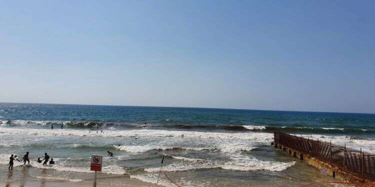 מסכמים עונה: שיא במספר אירועי זיהום בחופי ישראל