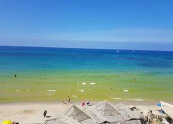 מסכמים עונה: שיא במספר אירועי זיהום בחופי ישראל