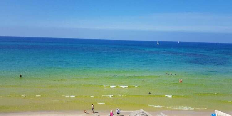 מסכמים עונה: שיא במספר אירועי זיהום בחופי ישראל