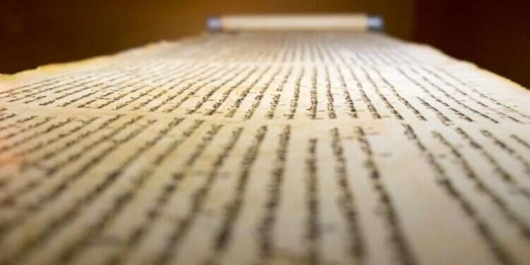 צילום: שאטרסטוק צילום: שאטרסטוק