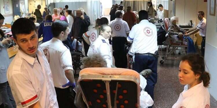 צילום: קוקו