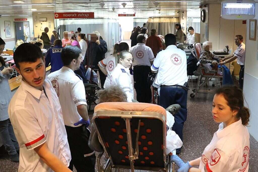 צילום: קוקו