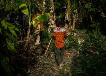 שוקולד מריר: הצד האפל של הממתקים שאתם אוכלים