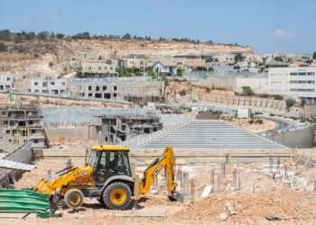 צילום: אבישג שאר-ישוב