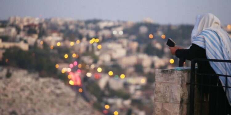 צילום: מרים צחי צילום: מרים צחי