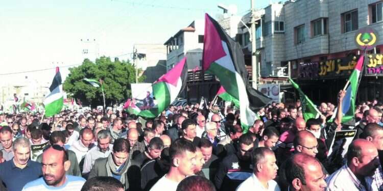 צילום: מישל דוט קום