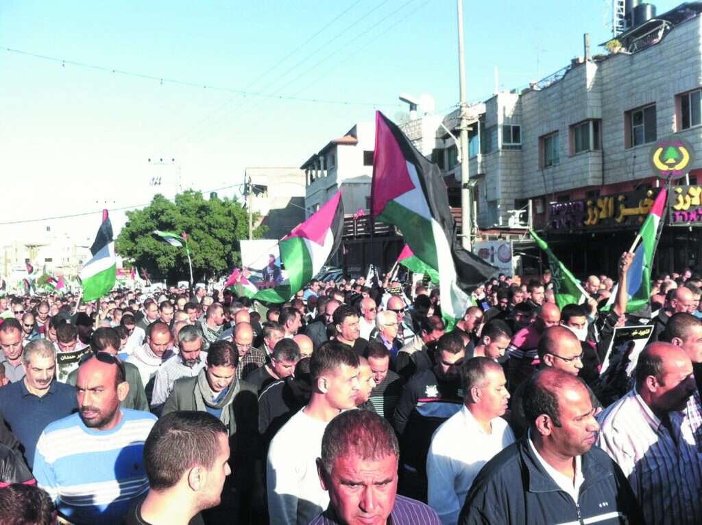 צילום: מישל דוט קום
