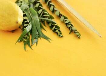 צילום: שאטרסטוק