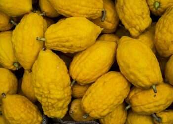 צילום: שאטרסטוק