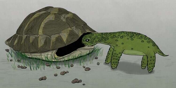 איור: שרון ארדיטי