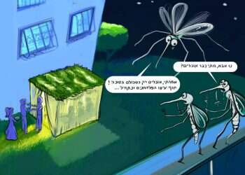 איור: ליאור מוניץ