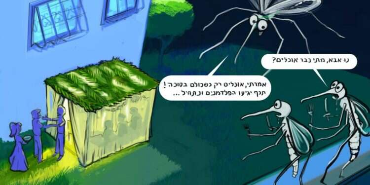 איור: ליאור מוניץ איור: ליאור מוניץ