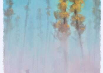 איור: מנחם הלברשטט