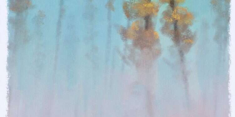 איור: מנחם הלברשטט איור: מנחם הלברשטט